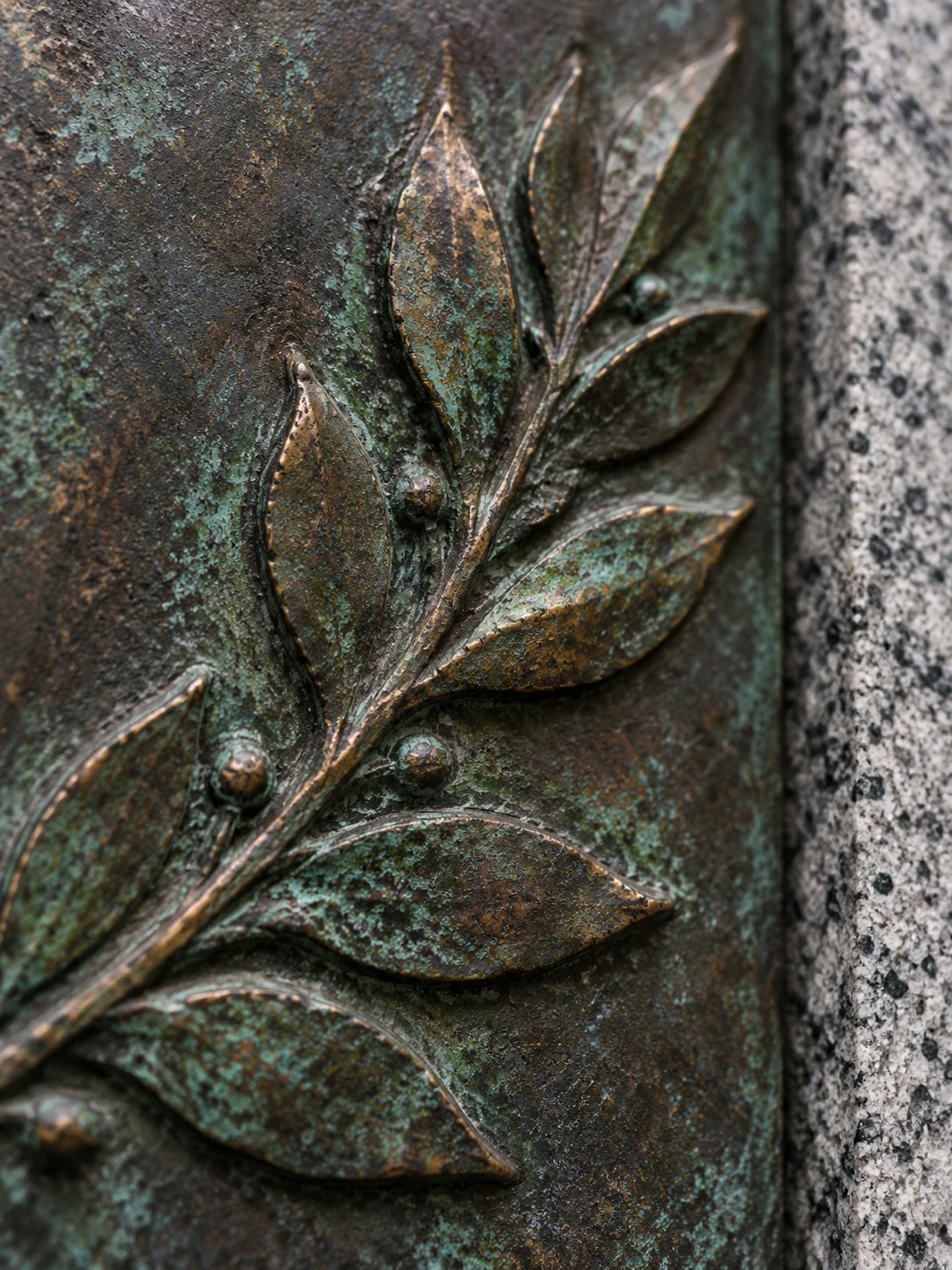 Détail d’une branche de laurier en relief sur du bronze patiné, à côté de granit